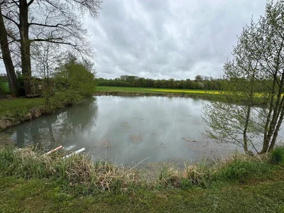 🐟🌾 Landwirtschaftliche Fläche in Straßgiech bei Scheßlitz zu verkaufen – ideal für Landwirte, Fischzüchter & Visionäre (VB)