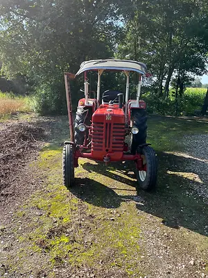 Mc Cormick 439 - Bild 2