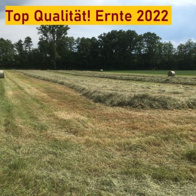 Heu 1. Schnitt 2022, trocken gelagert