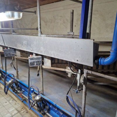 Doppel 4er Fischgräten Melkstand 