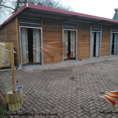 Image 13
