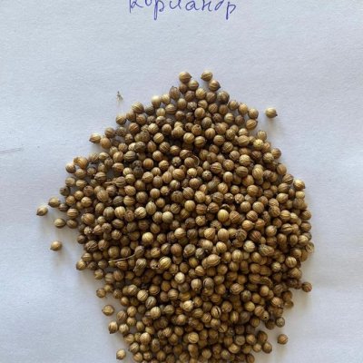 Koriander Samen / Coriander seeds