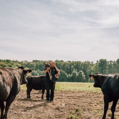Verkaufe Fullblood und Purebred Wagyu Herde