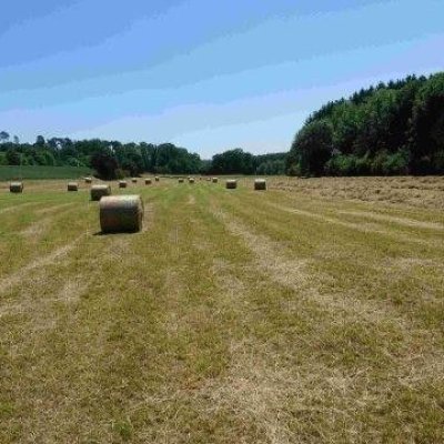Verkaufe Heu- und Öhmd-Rundballen 1,30m