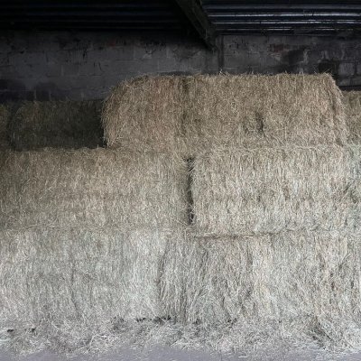 Verkaufe Hallengelagertes Heu in Quader und Rundballen aus Ernte 24