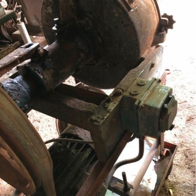 Image 7