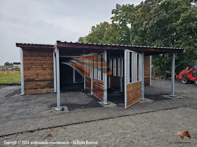 Image 19